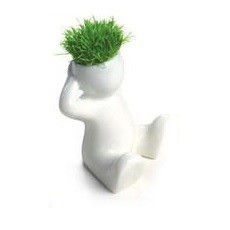 Small Grass Heads (8 pcs)