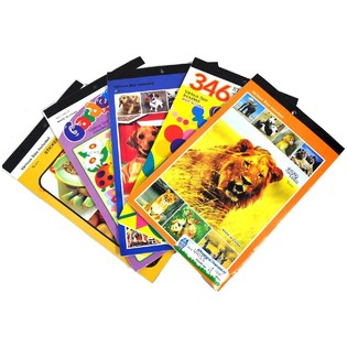 Sticker Books Bulk Mix Lot (108 pcs)