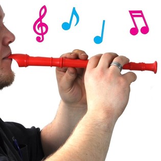 COLORFUL RECORDER (20st).