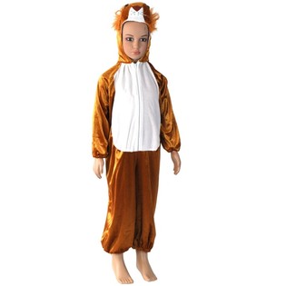 Kids Lion Costume &ndash; Size 6