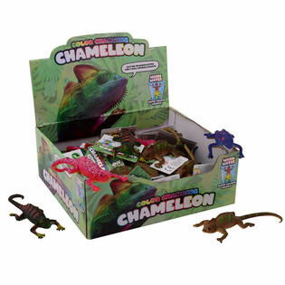 Color Changing Chameleons Display (48 pcs)